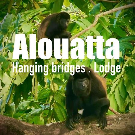 Alouatta Lodge And Canopy Cahuita Buitenkant foto