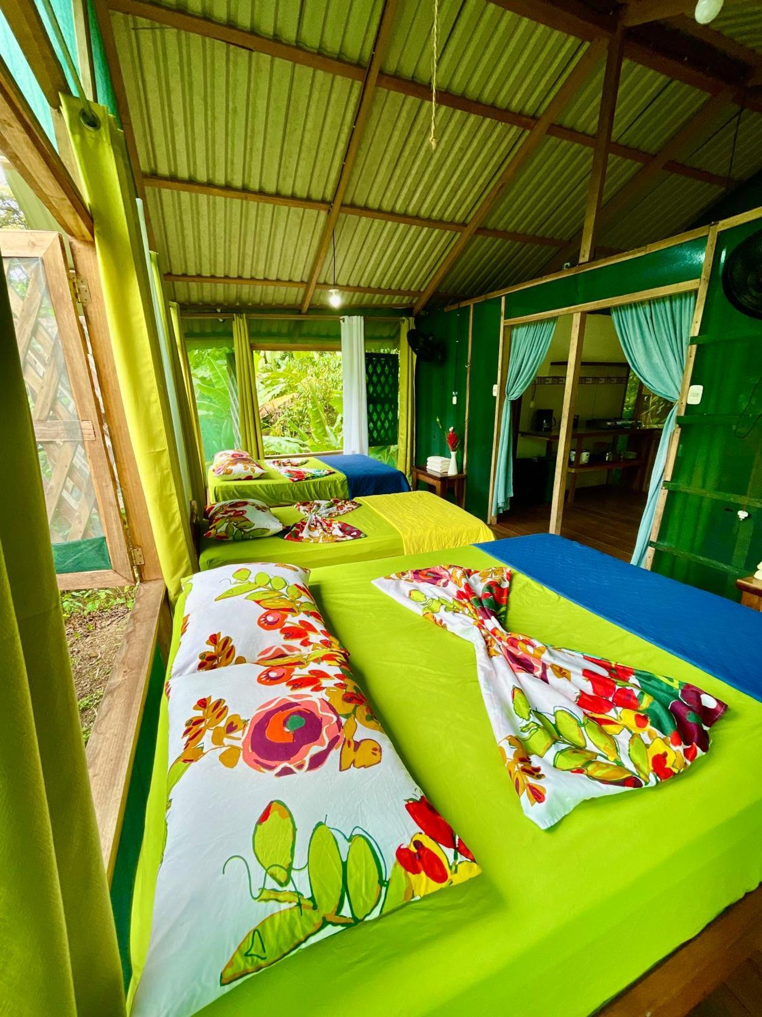 Alouatta Lodge And Canopy Cahuita Buitenkant foto