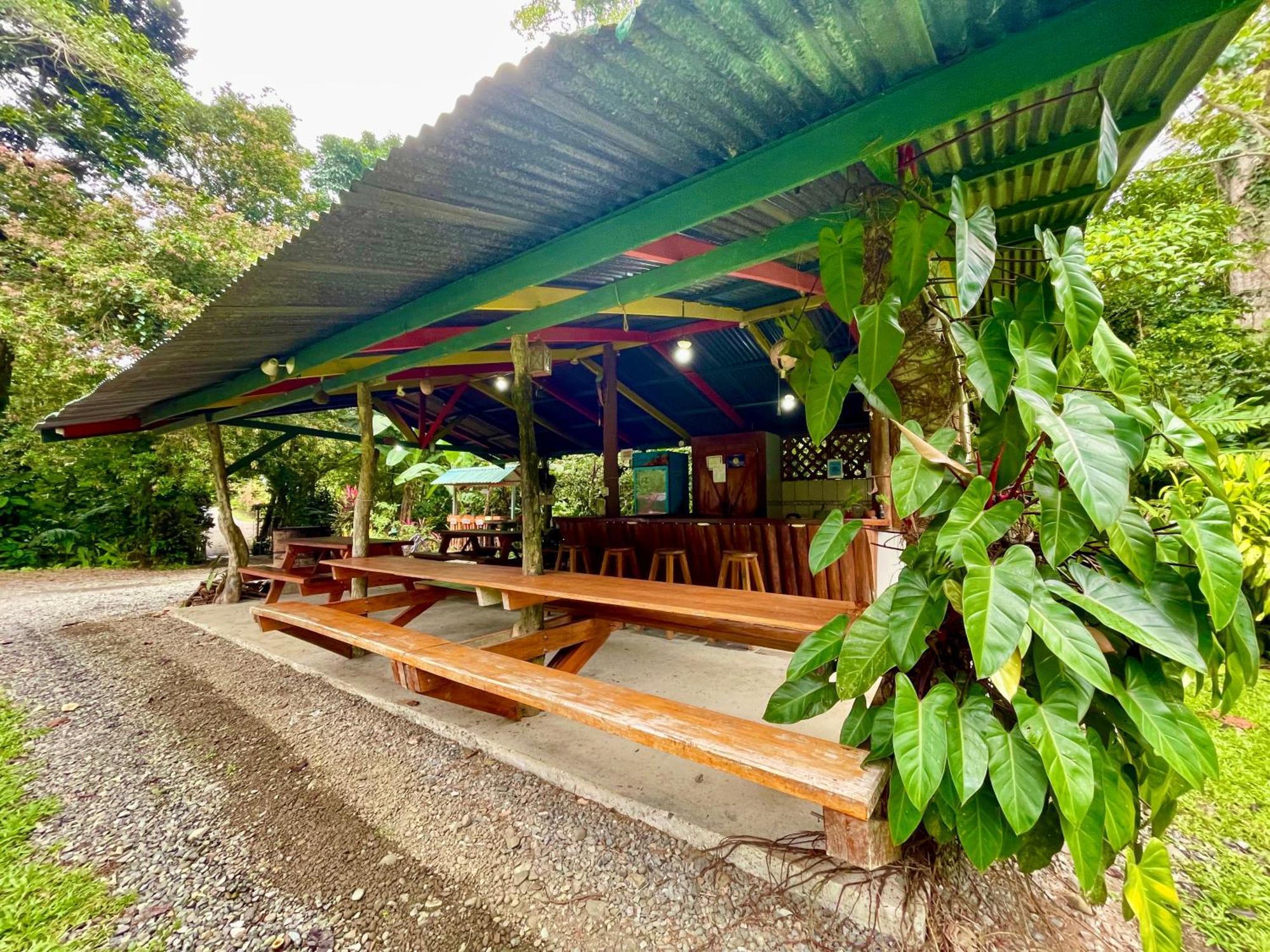 Alouatta Lodge And Canopy Cahuita Buitenkant foto