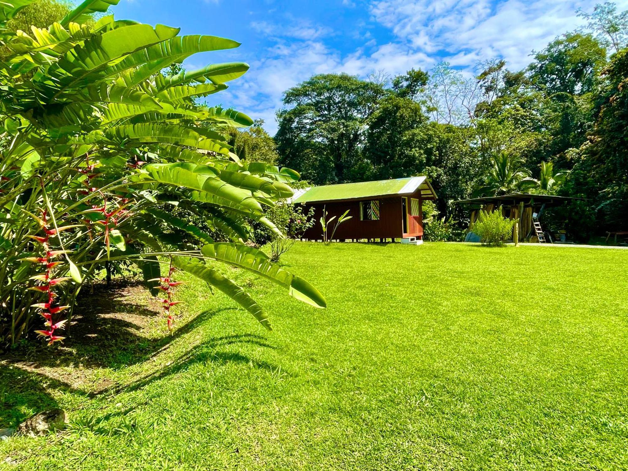 Alouatta Lodge And Canopy Cahuita Buitenkant foto