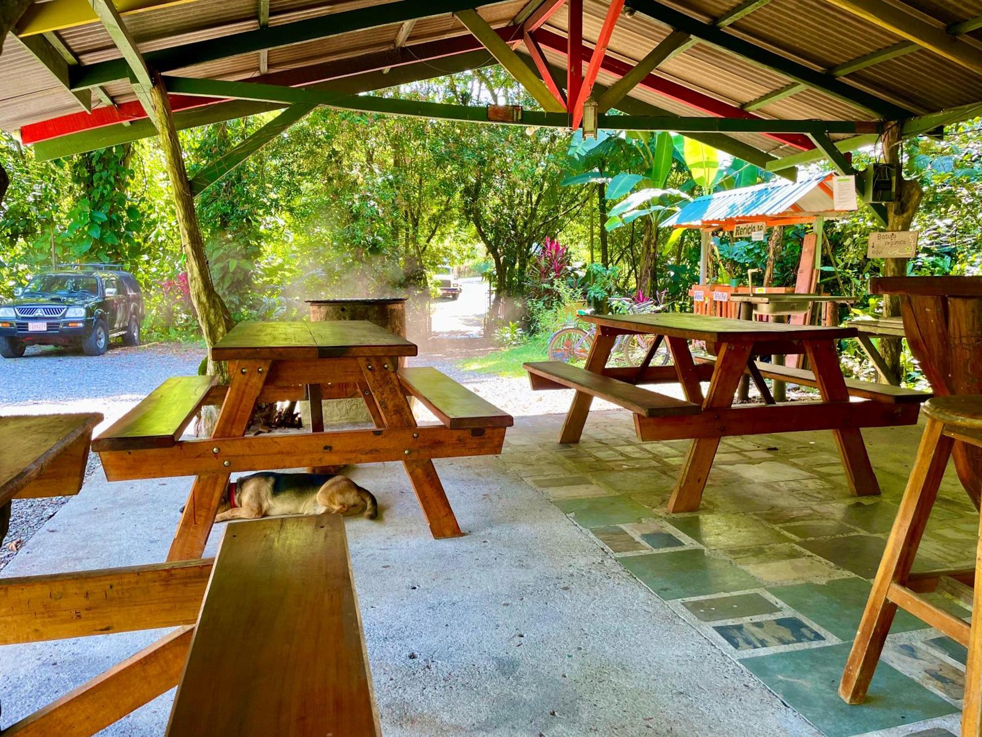Alouatta Lodge And Canopy Cahuita Buitenkant foto