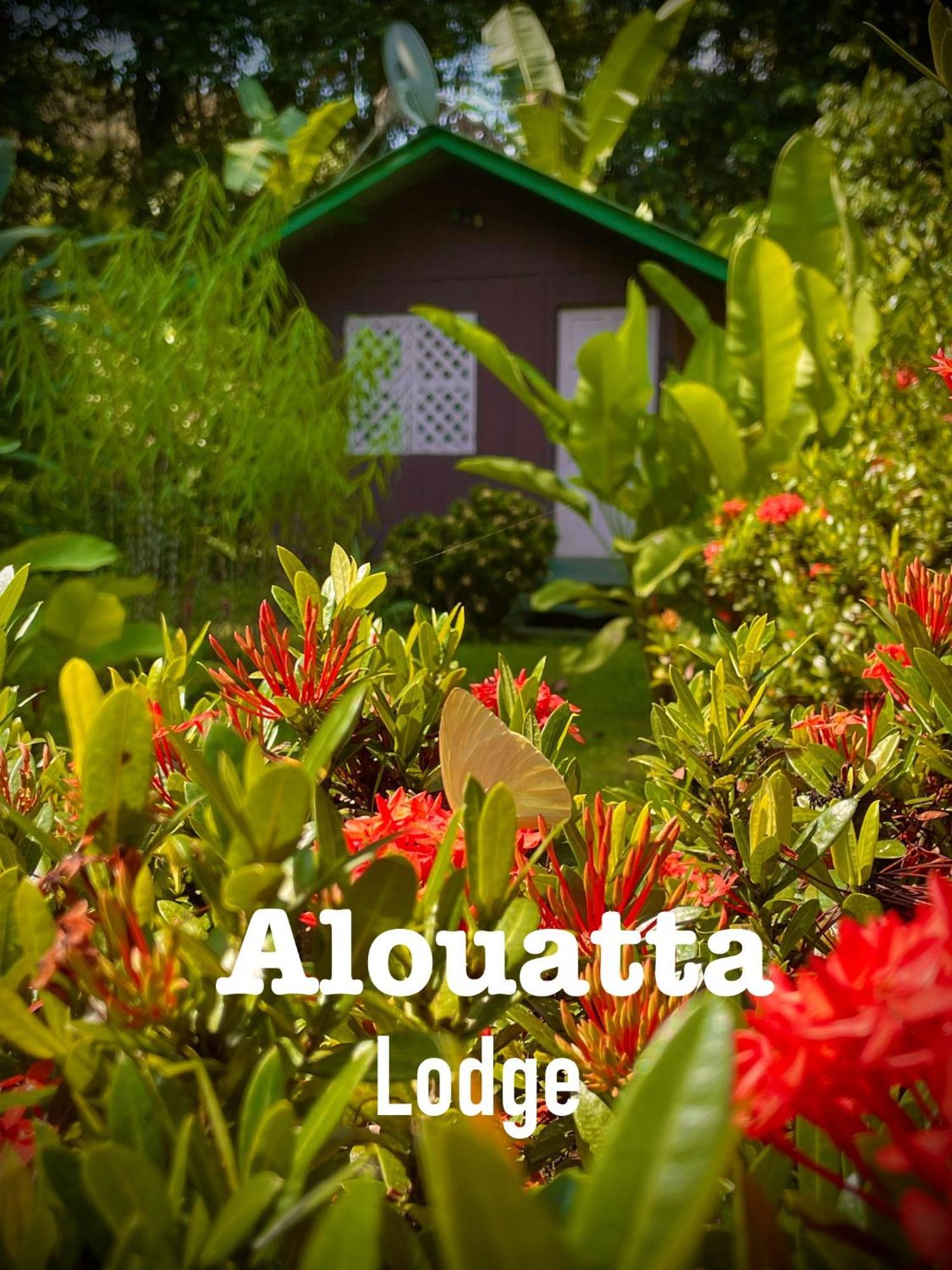 Alouatta Lodge And Canopy Cahuita Buitenkant foto