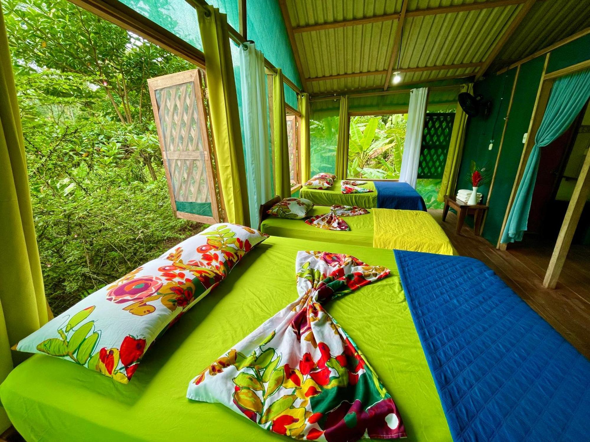 Alouatta Lodge And Canopy Cahuita Buitenkant foto
