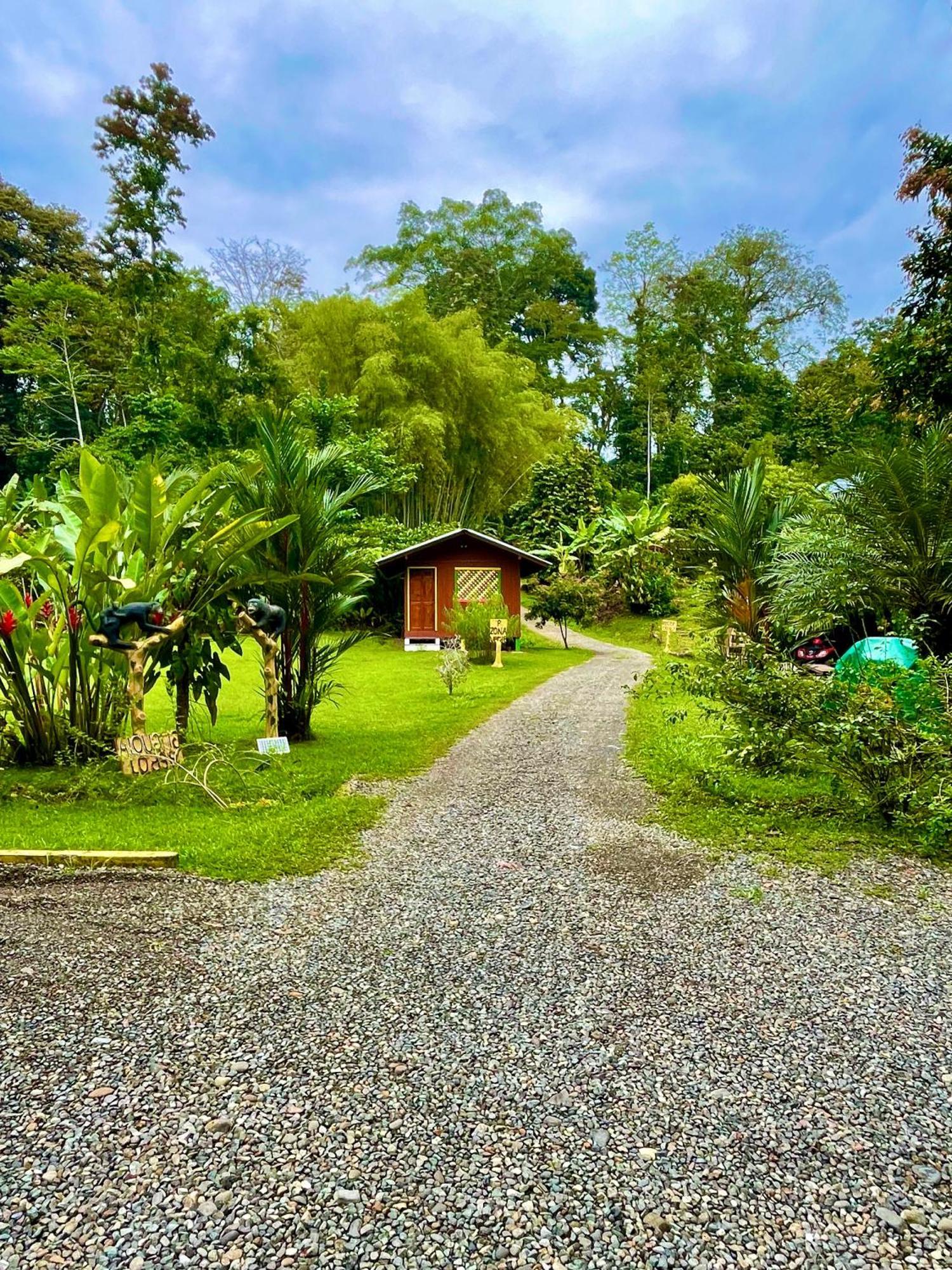 Alouatta Lodge And Canopy Cahuita Buitenkant foto