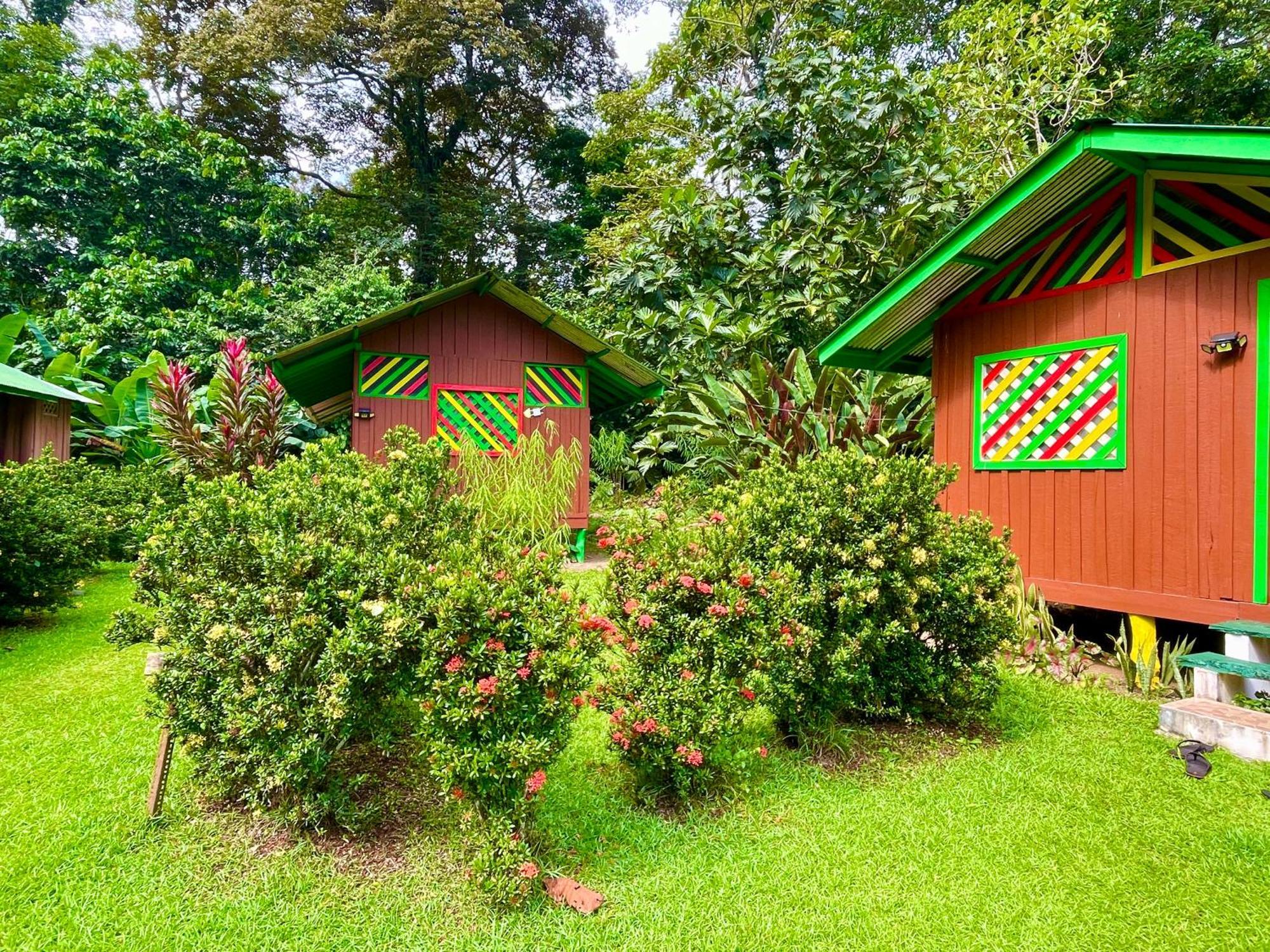 Alouatta Lodge And Canopy Cahuita Buitenkant foto