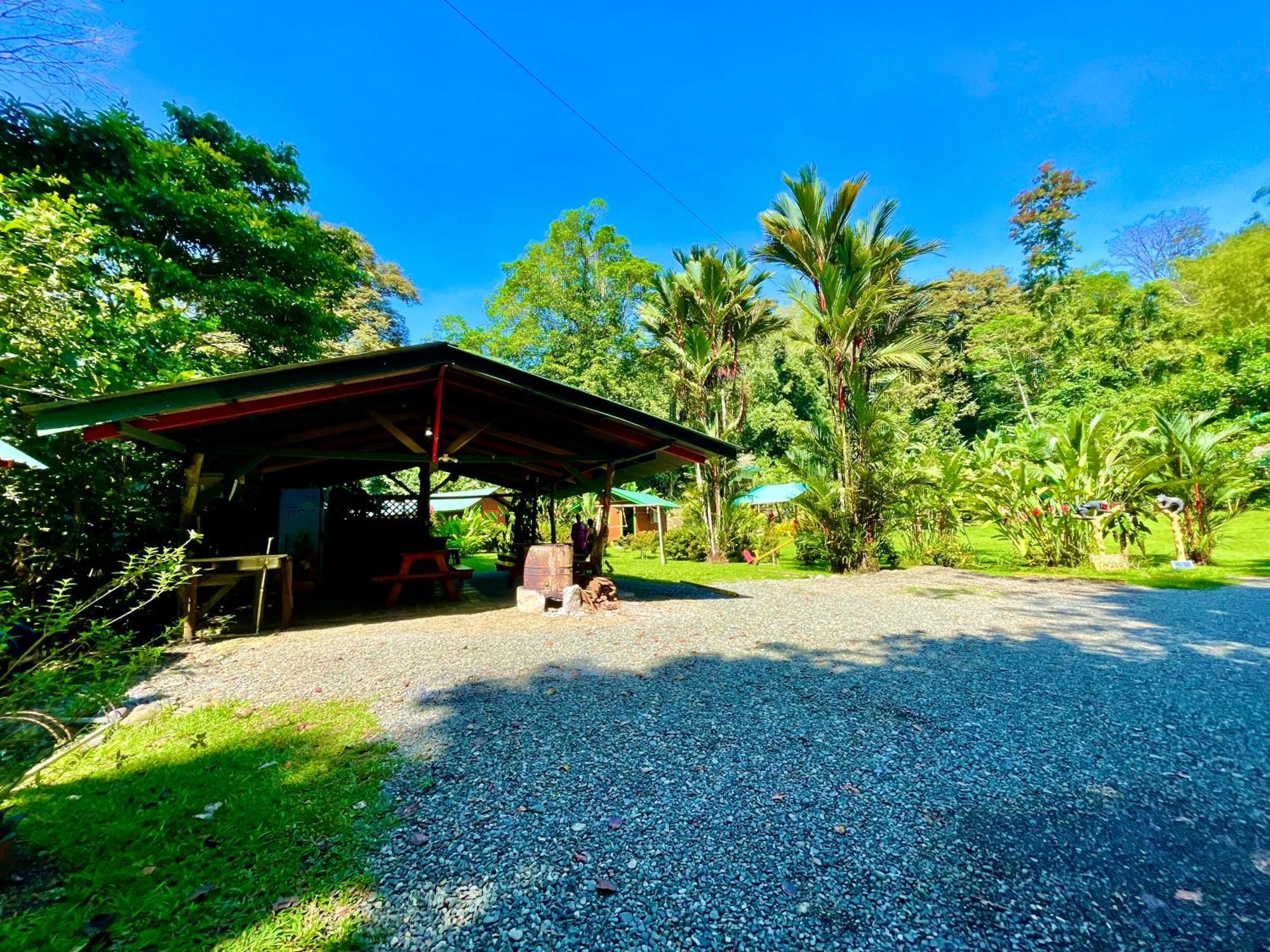 Alouatta Lodge And Canopy Cahuita Buitenkant foto