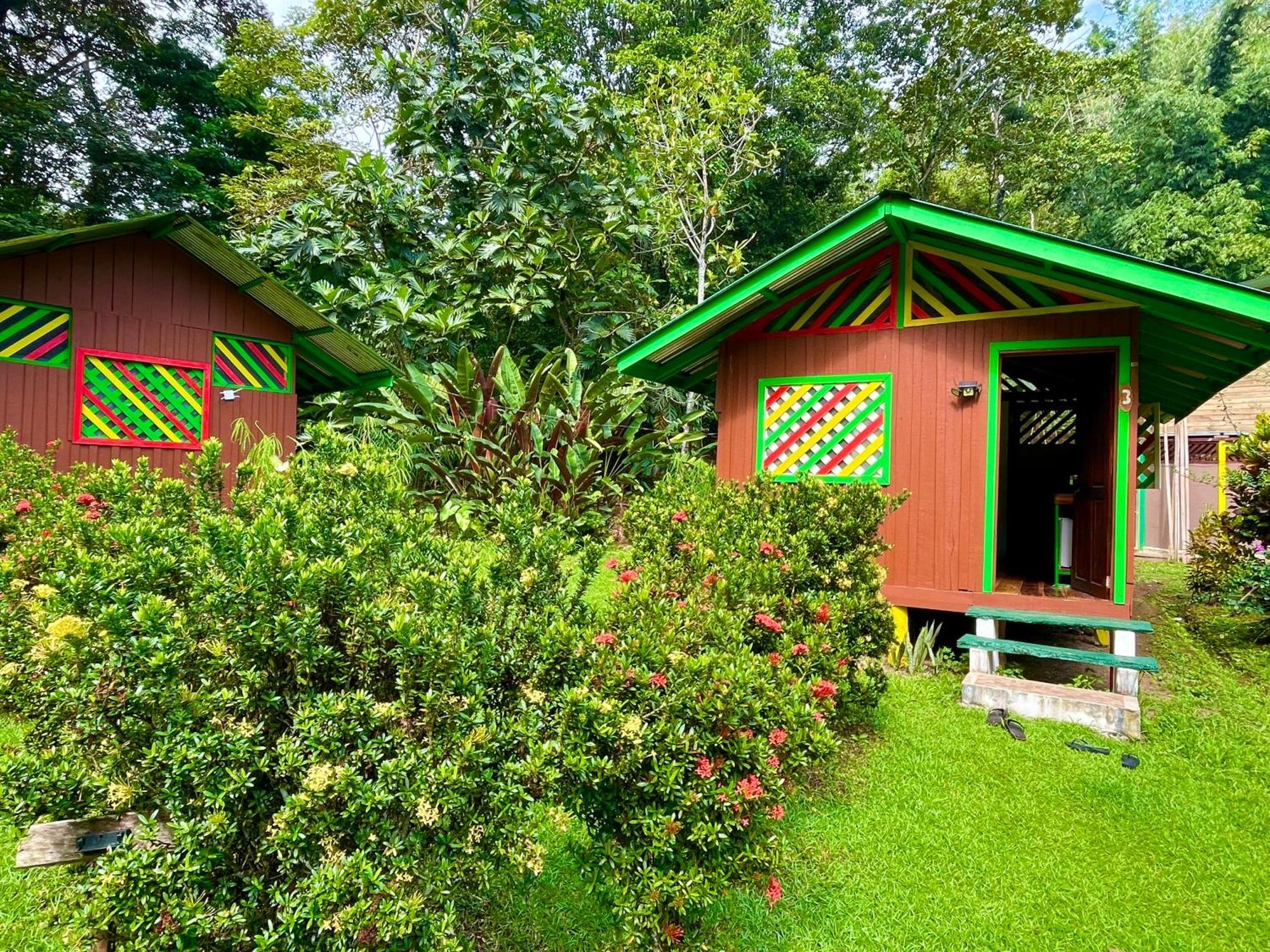 Alouatta Lodge And Canopy Cahuita Buitenkant foto