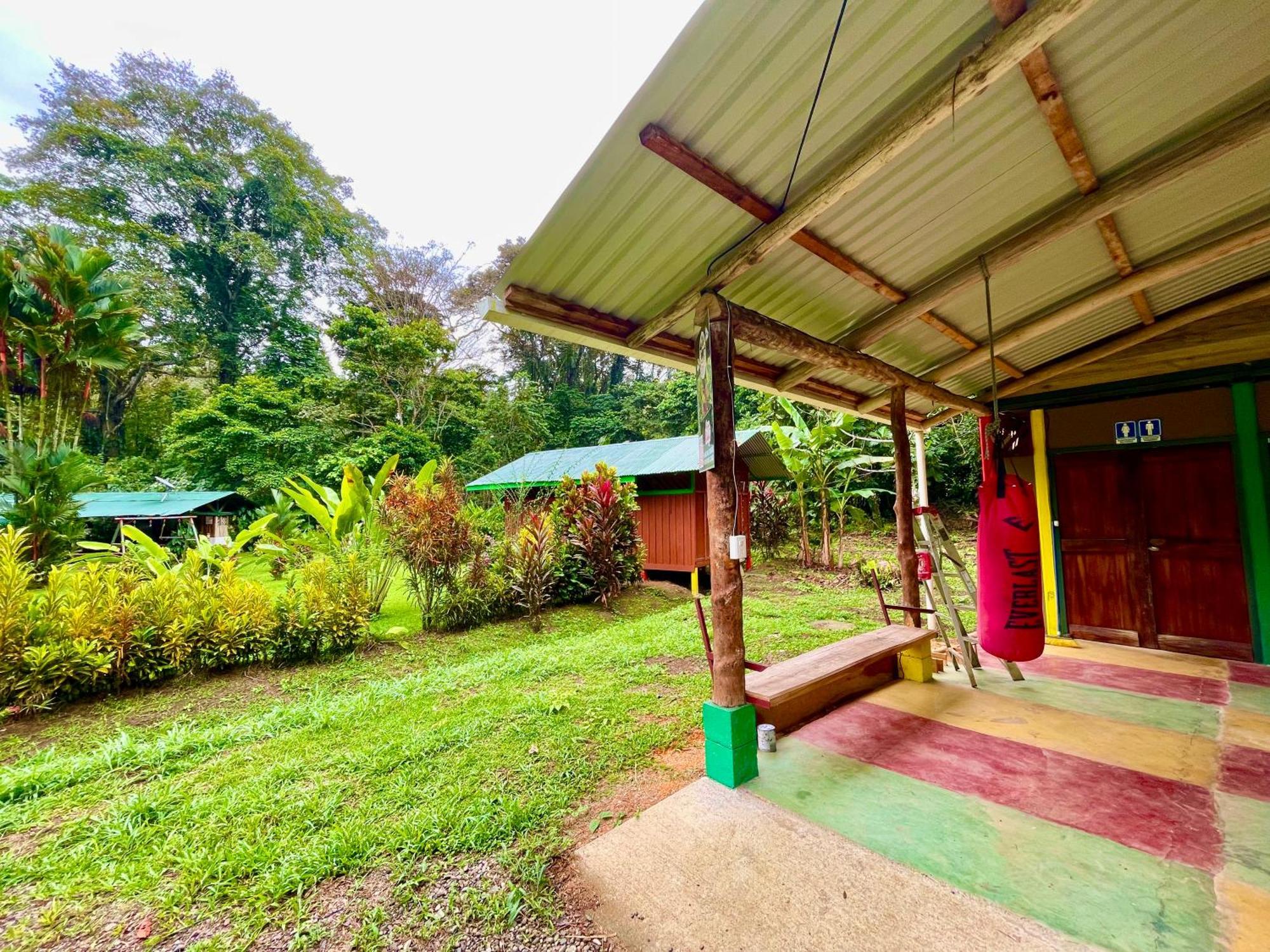 Alouatta Lodge And Canopy Cahuita Buitenkant foto