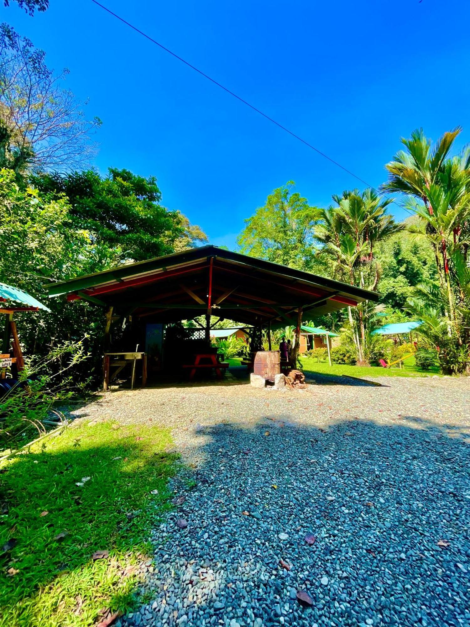 Alouatta Lodge And Canopy Cahuita Buitenkant foto