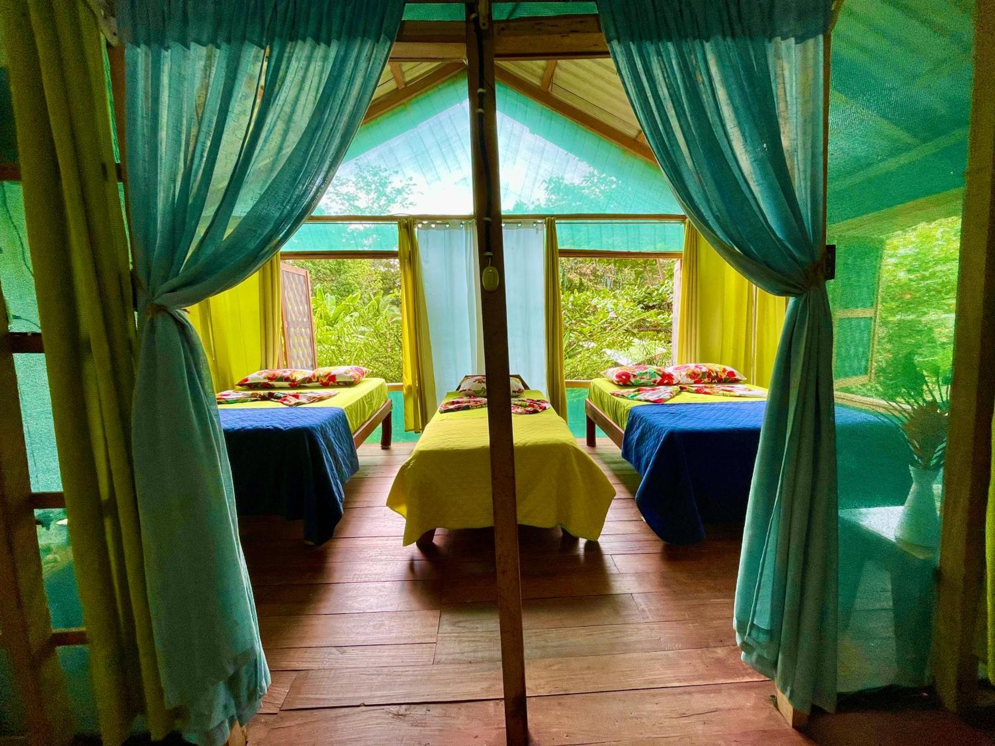 Alouatta Lodge And Canopy Cahuita Buitenkant foto
