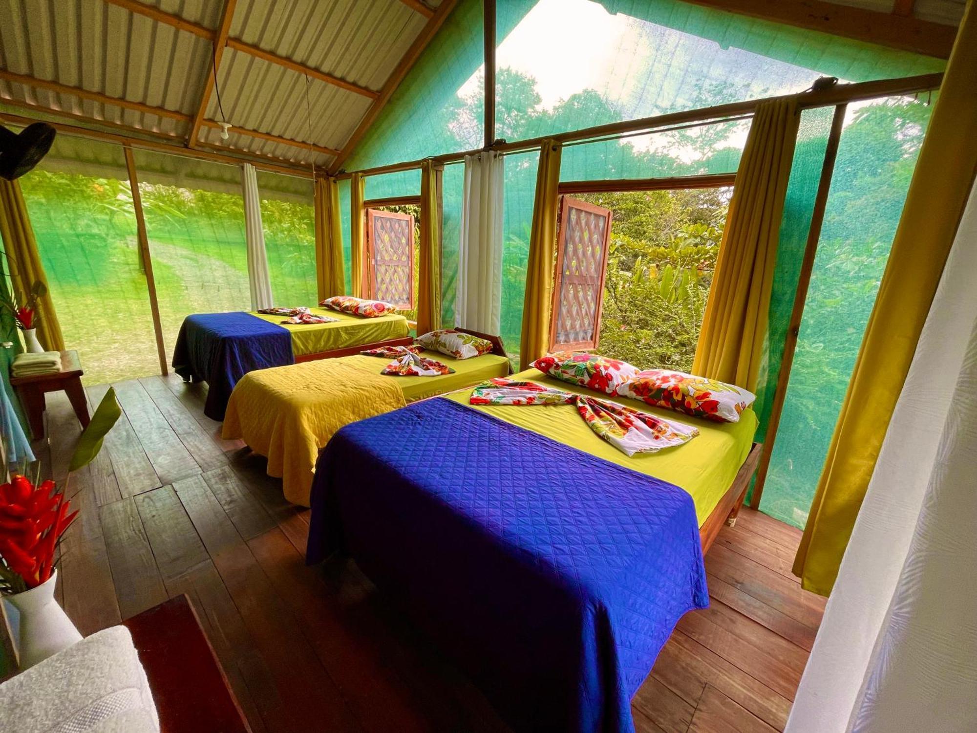 Alouatta Lodge And Canopy Cahuita Buitenkant foto