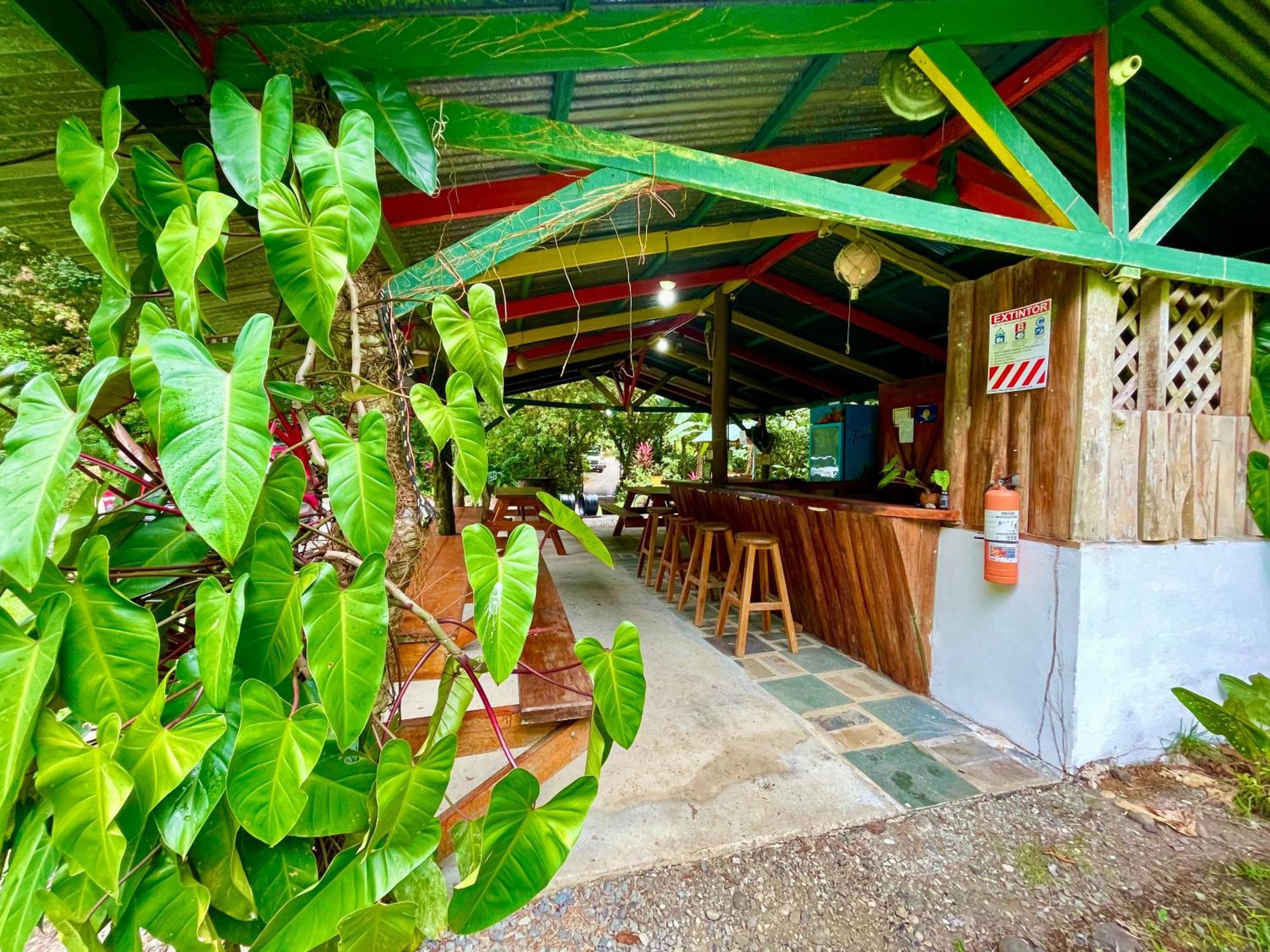 Alouatta Lodge And Canopy Cahuita Buitenkant foto