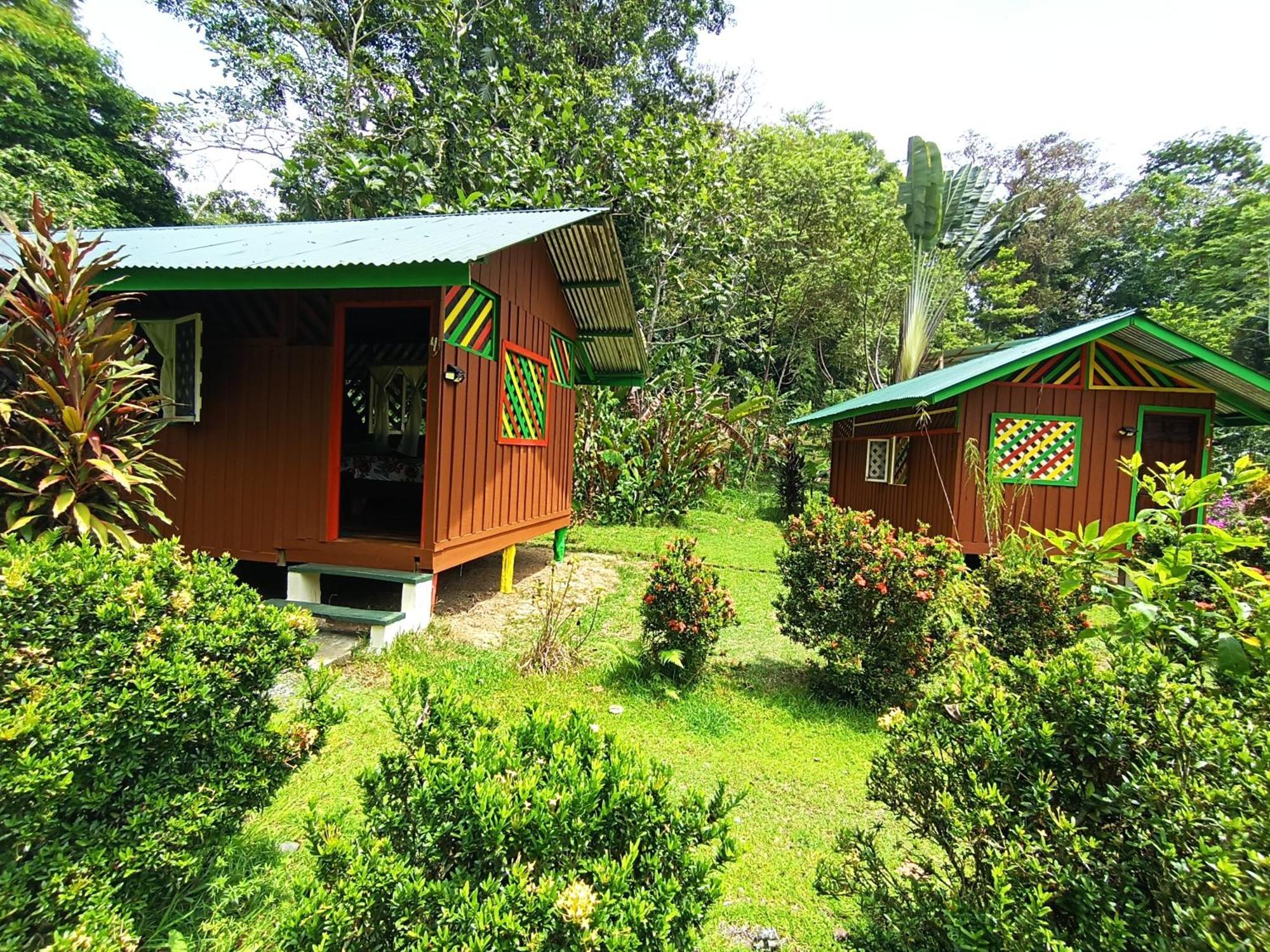 Alouatta Lodge And Canopy Cahuita Buitenkant foto
