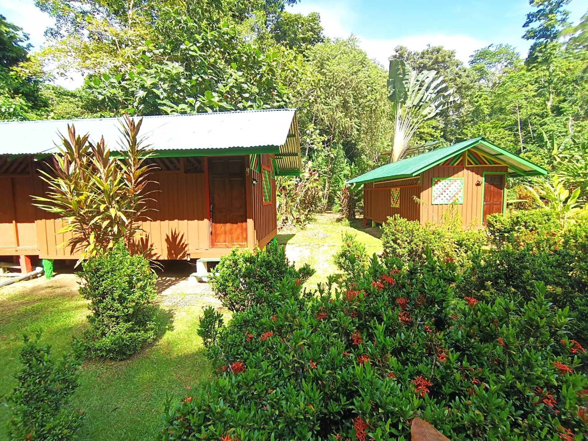 Alouatta Lodge And Canopy Cahuita Buitenkant foto
