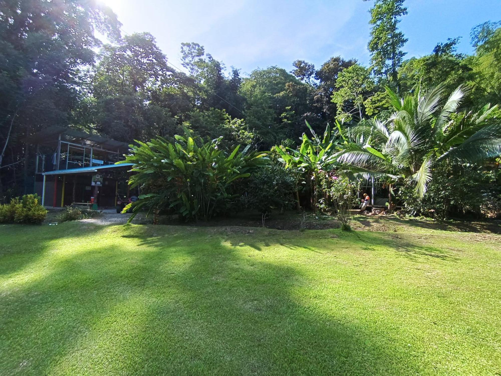 Alouatta Lodge And Canopy Cahuita Buitenkant foto